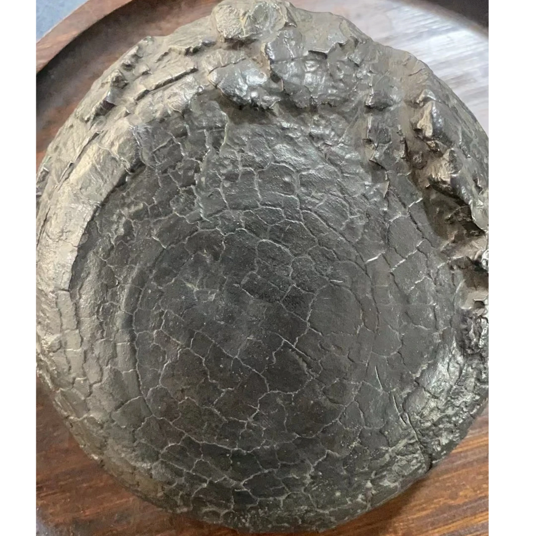 郴州龟纹石原石—图片仅供参考