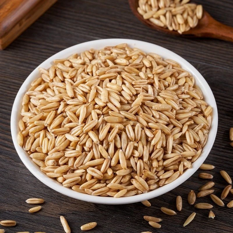 天然新鲜燕麦鸟食鸟粮牡丹玄凤小太阳和尚鸽子玉鸟珍珠鸟