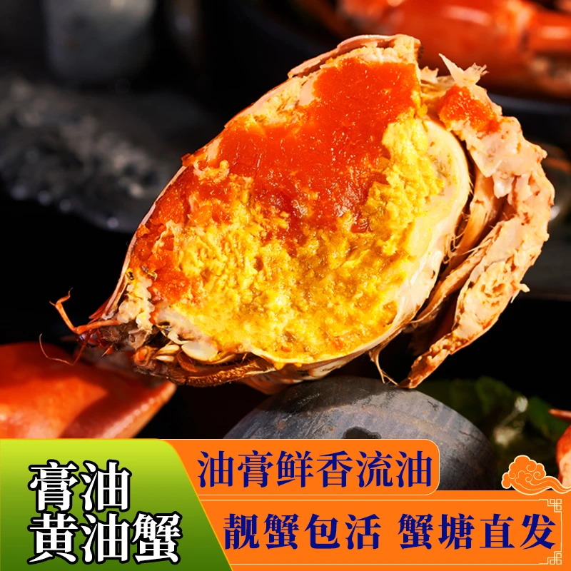 正宗鲜活黄油蟹源头蟹塘直发包活【膏油4-4.8两】或【膏油3-3.8两】