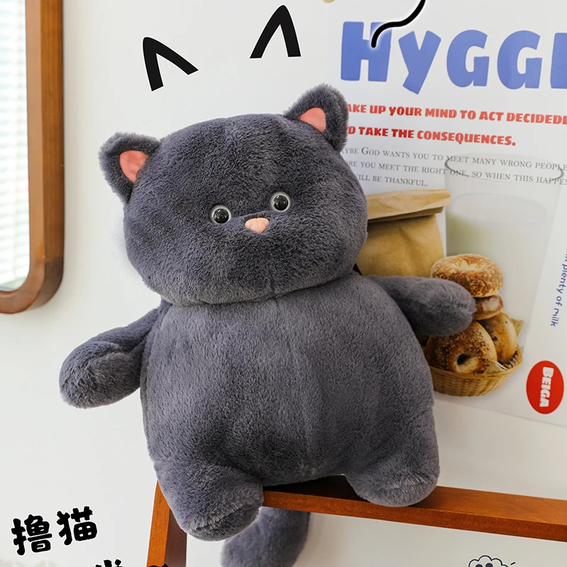 原创喵它崽肥猫布偶胖乎乎的白色猫咪可爱哈基米毛绒玩具玩偶娃娃