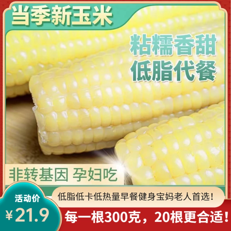 【东北糯玉米】【低脂】东北甜糯玉米真空每根300克粗粮代餐非转基因