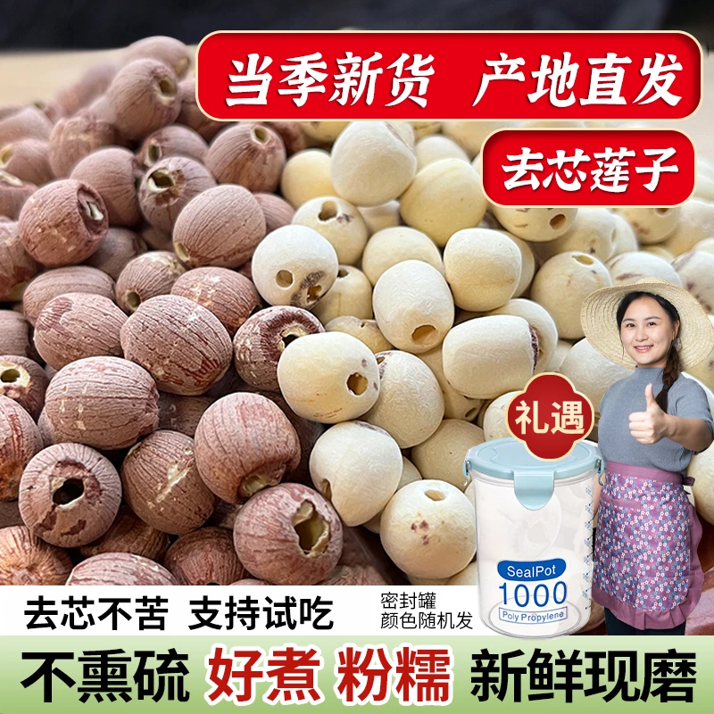 【小茵姑娘】湘潭特级去芯莲子250g 正宗无硫莲子干货 大粒去芯红莲