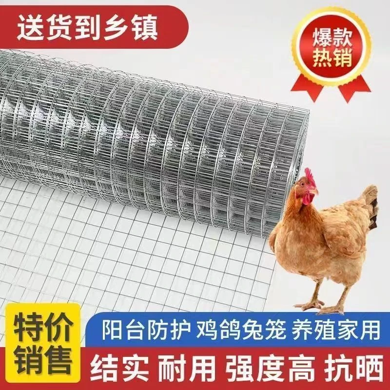 镀锌防锈铁丝网镀锌钢丝网围栏养殖网拦鸡网建筑网防护网铁网格