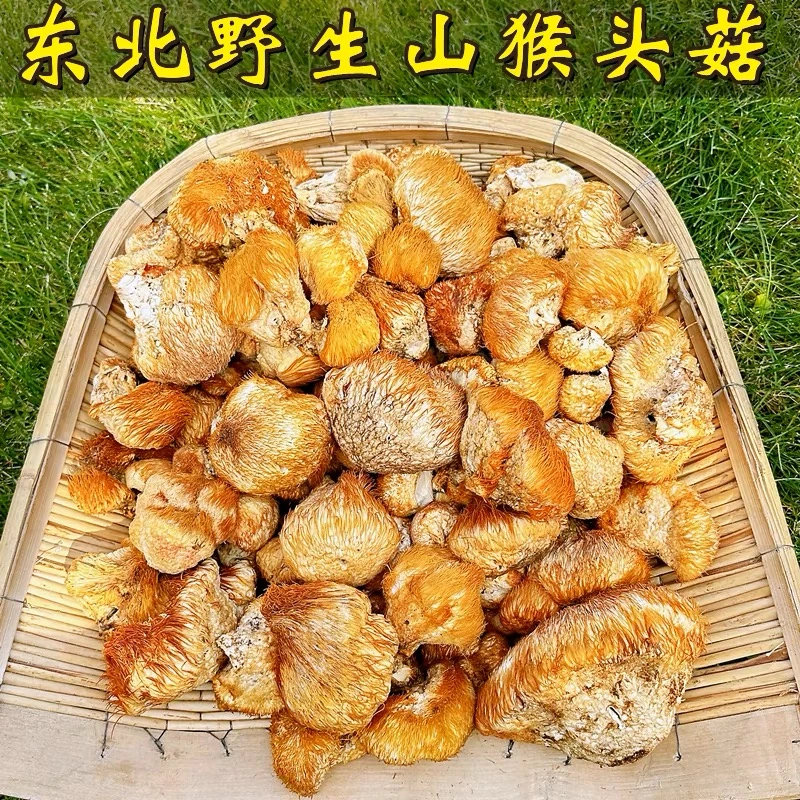 (只发新疆三炮专属链接)野生猴头菇 自然晾晒  250g半斤 500g一斤