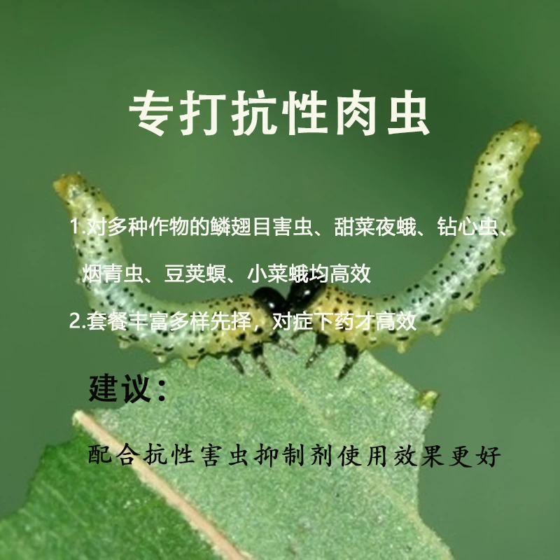 【董事长推荐】抗性棉铃虫甜菜夜蛾豆荚螟小菜蛾吊丝虫草地贪夜蛾