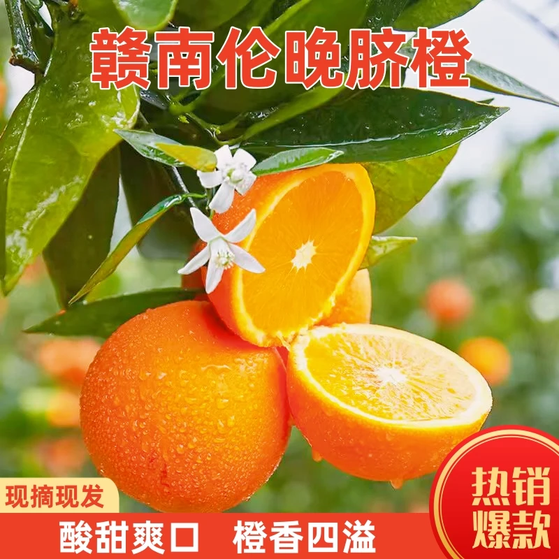 江西赣南伦晚脐橙5/10斤装果农现摘现发夏橙酸甜爽口新鲜应季水果