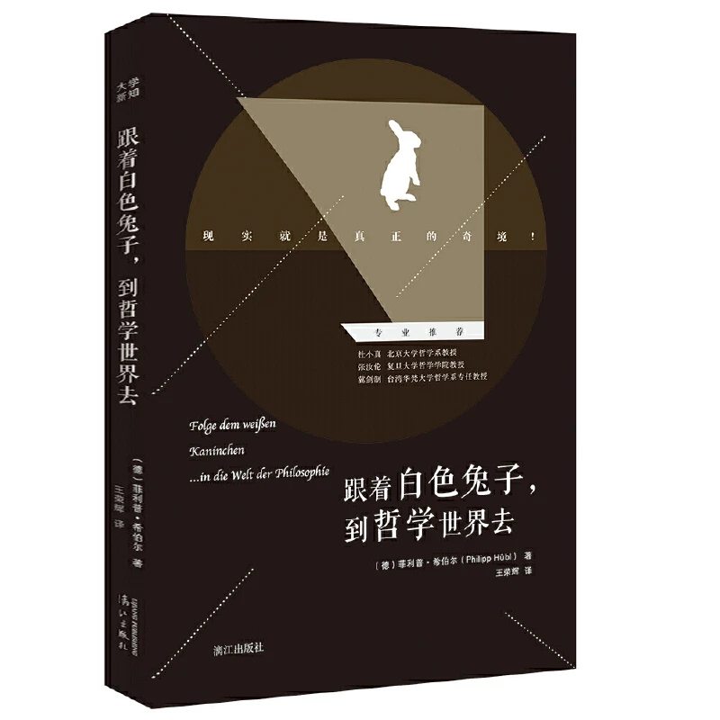 跟着白色兔子到哲学世界去意识的解释审辩性思维技巧解读导论书籍