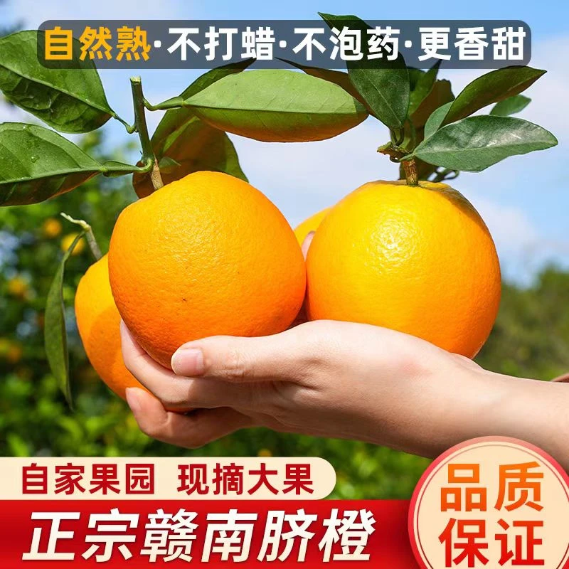 正宗江西赣南脐橙现摘现发产地直发当季新鲜水果买3斤送两斤