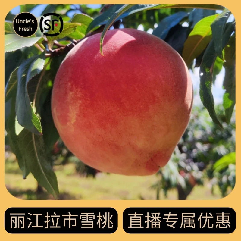 【直播专享】丽江拉市雪桃果王礼盒国庆应季新鲜顺丰包邮云南特产