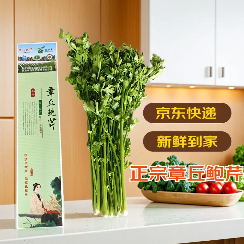 正宗山东章丘鲍芹 精品3斤礼盒 新鲜蔬菜地方特产礼盒产地直发
