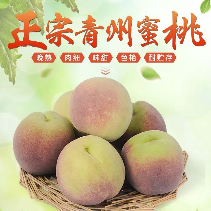 青州冬雪蜜桃脆甜小毛桃应季水果桃子