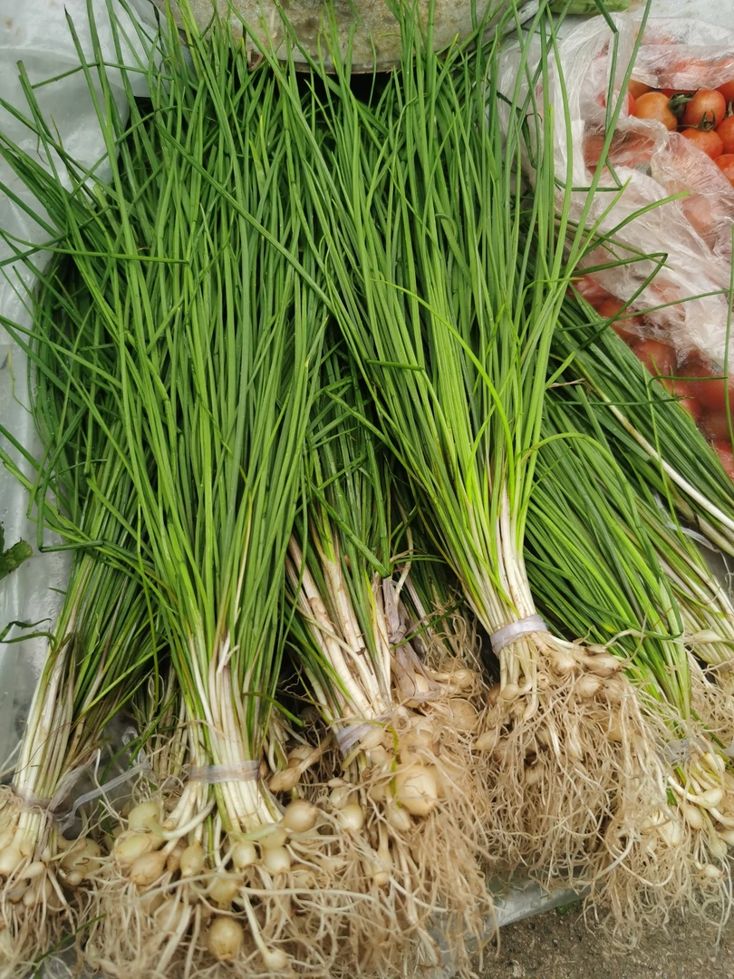 贵州高山本地野葱 苦蒜