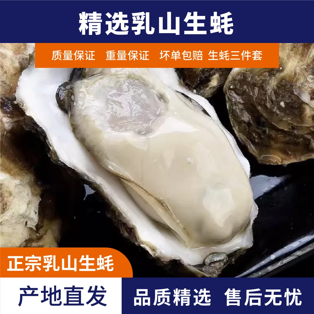 【5斤净重】乳山生蚝刺身级包鲜保活顺丰冷链乳山直发煲汤烧烤边炉