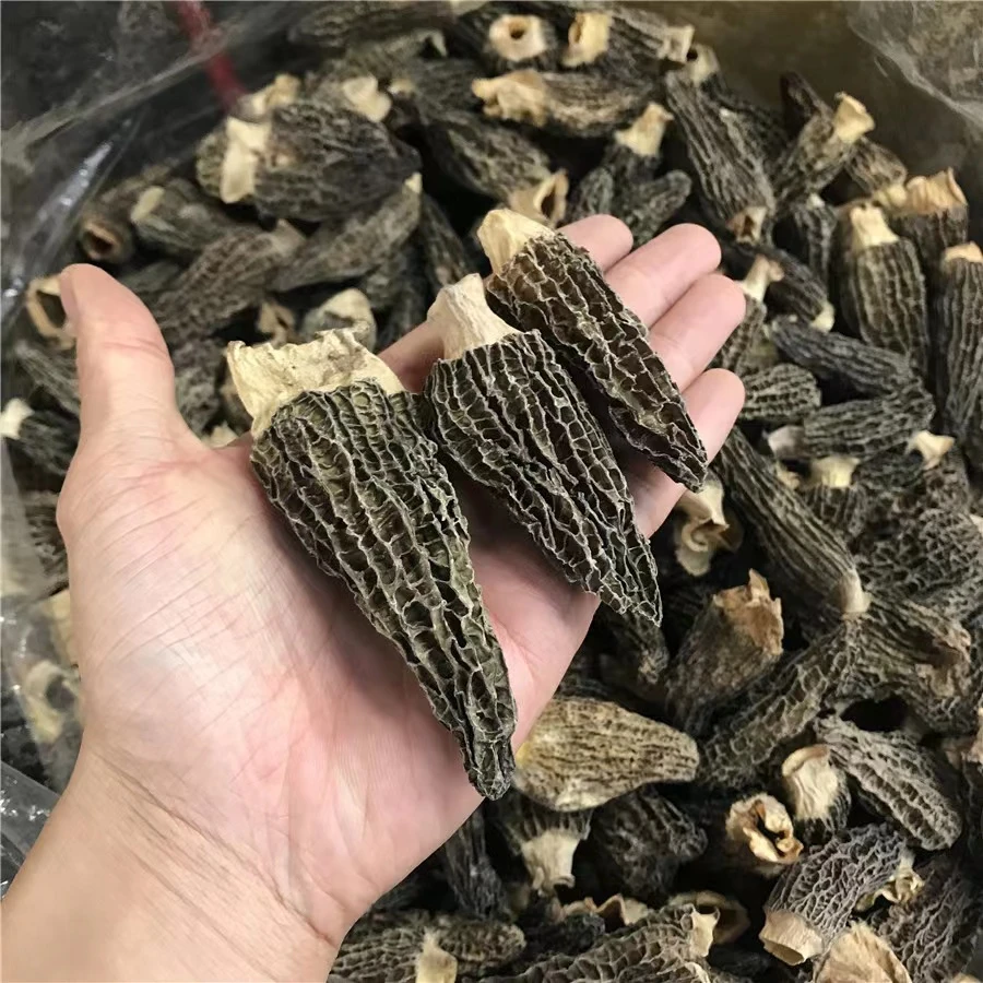 羊肚菌头茬新货精选干货野生菌菇500g云南特产羊肚菇4-6cm礼盒