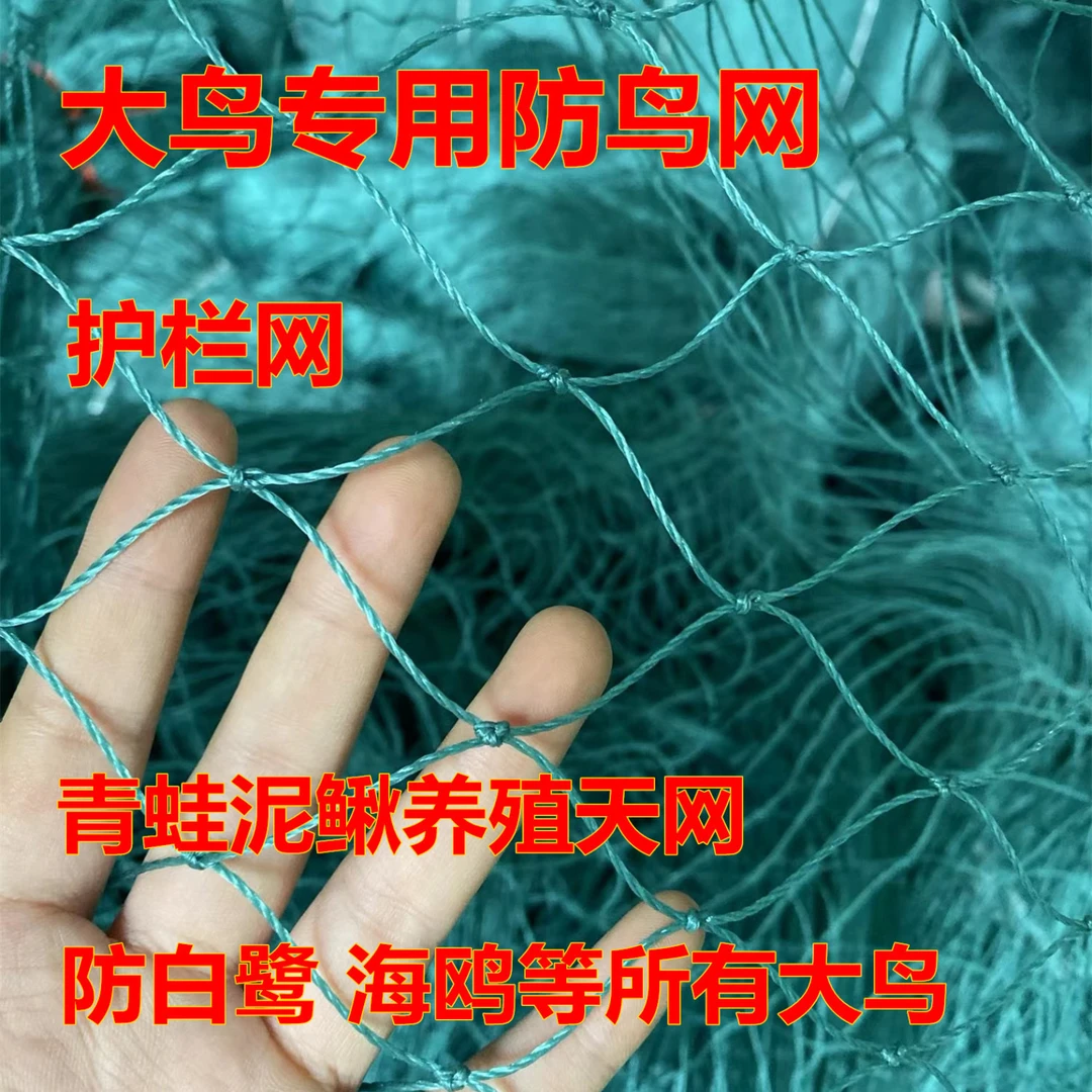 护栏网大孔果树防鸟网菜园围栏网加粗青蛙泥鳅养殖防护天网网格网