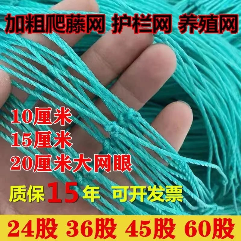 园艺爬藤网百香果葡萄植物瓜果藤蔓优惠尼龙网搭架网厂家直销攀爬