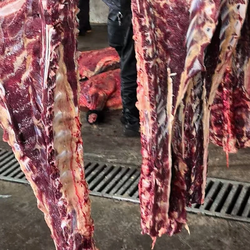 【牦牛带肉牛脊骨】默认锯小块牦牛带肉骨头4斤起拍青藏牦牛速冻