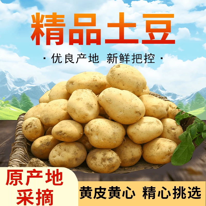 2024现挖新鲜山东黄皮黄心土豆马铃薯老品种洋芋带箱10斤包邮
