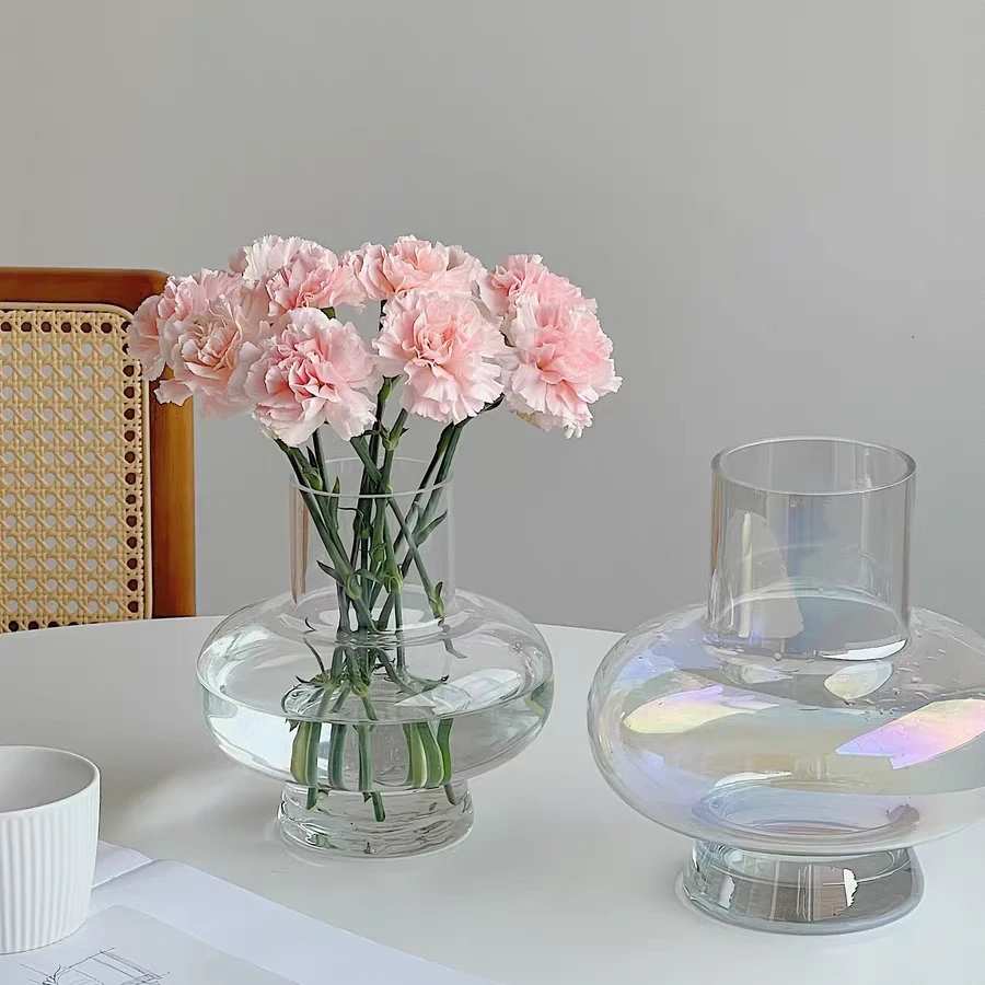 大肚子灯笼透明玻璃花瓶摆件客厅插花水养芍药绿植轻奢高级感颜值