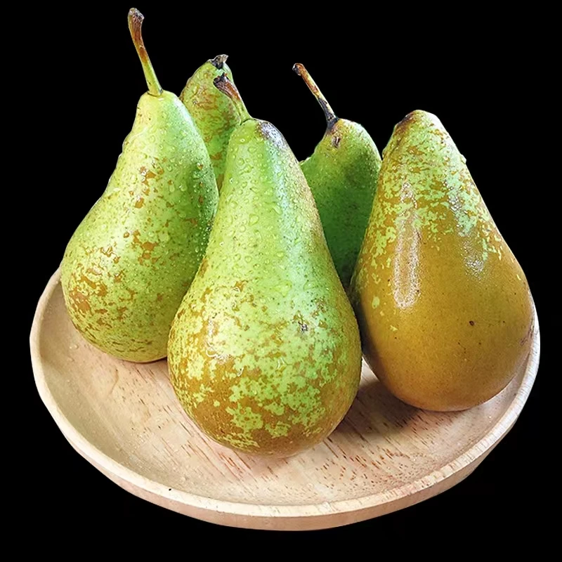 【丫头专属】进口比利时啤梨新鲜直达软糯香甜多汁 宝宝辅食3-8斤装