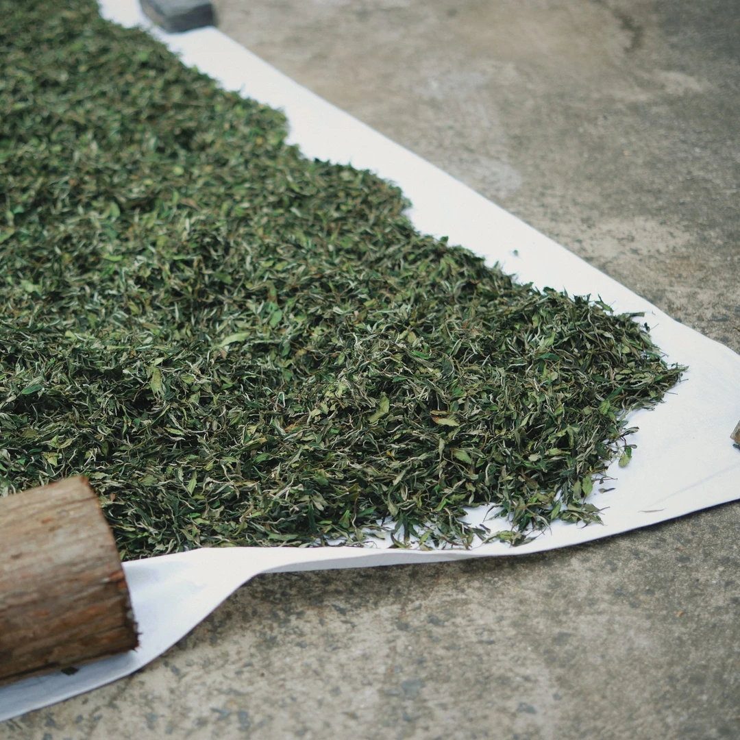 归荼茶事｜（临时链接）白茶籽 2012年福鼎太姥山方家山白茶籽 50g