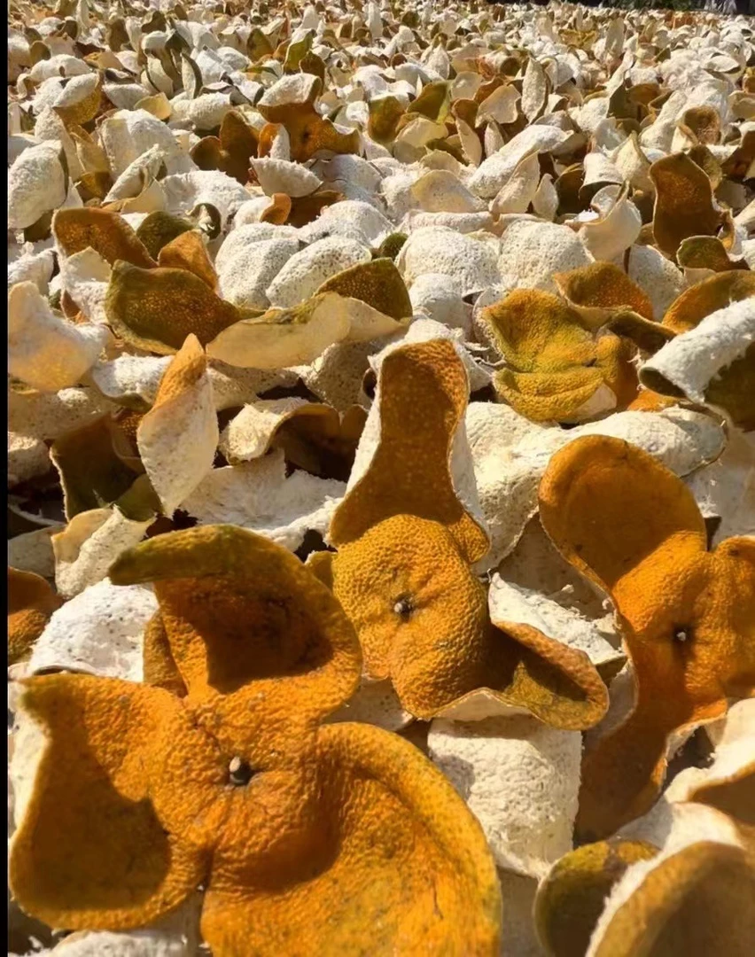 东甲大红皮正宗新会陈皮核心原产地圈枝自然生晒干仓陈皮