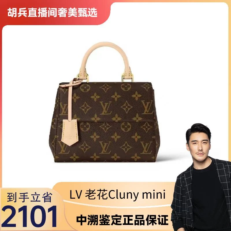 全新未使用  LouisVuitton/路易威登 Cluny mini老花单肩斜跨包