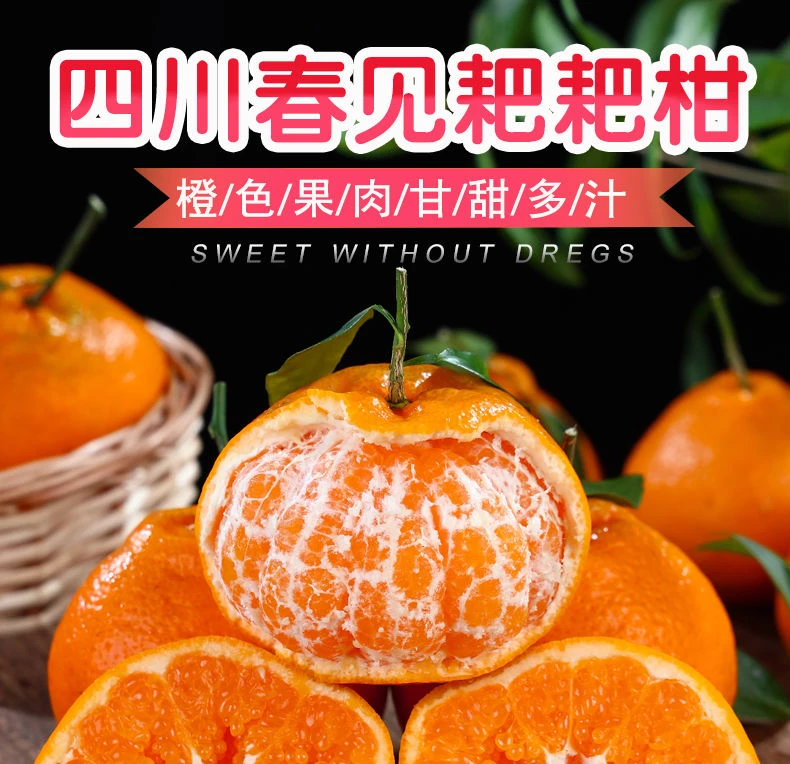 四川春见耙耙柑新鲜采摘肉质脆嫩化渣酸甜适口香甜甜蜜皮薄保鲜