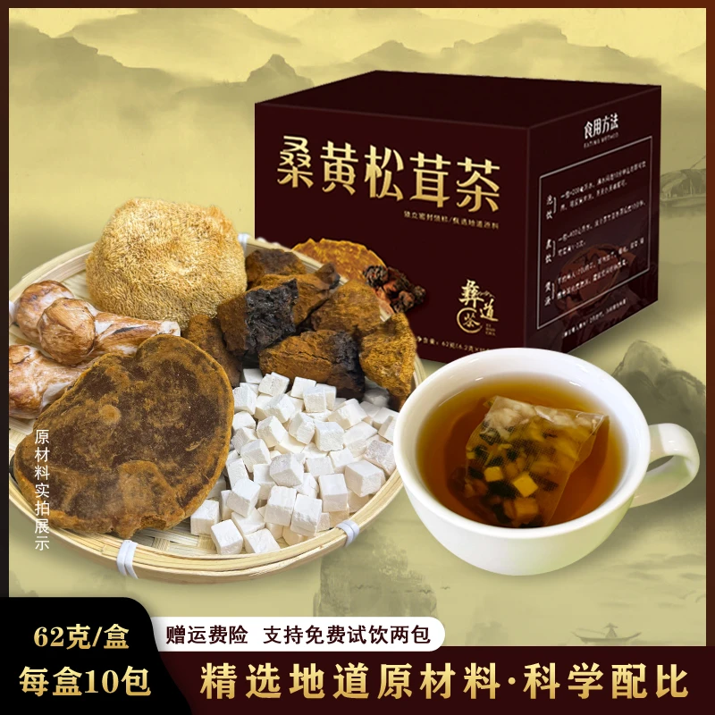 【冬藏五菌汤】桑黄松茸茶搭配猴头菇桦树茸等 真材实料62g/盒/10包