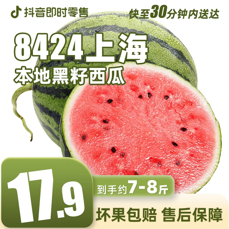 【半小时达】上海本地瓜7-8斤黑籽8424西瓜，上海本地自然生长红壤解渴凉快