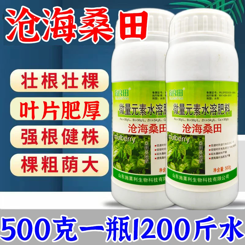 桑树专用肥料叶片肥厚增嫩光亮预防黄叶落叶进口正品桑叶叶面肥