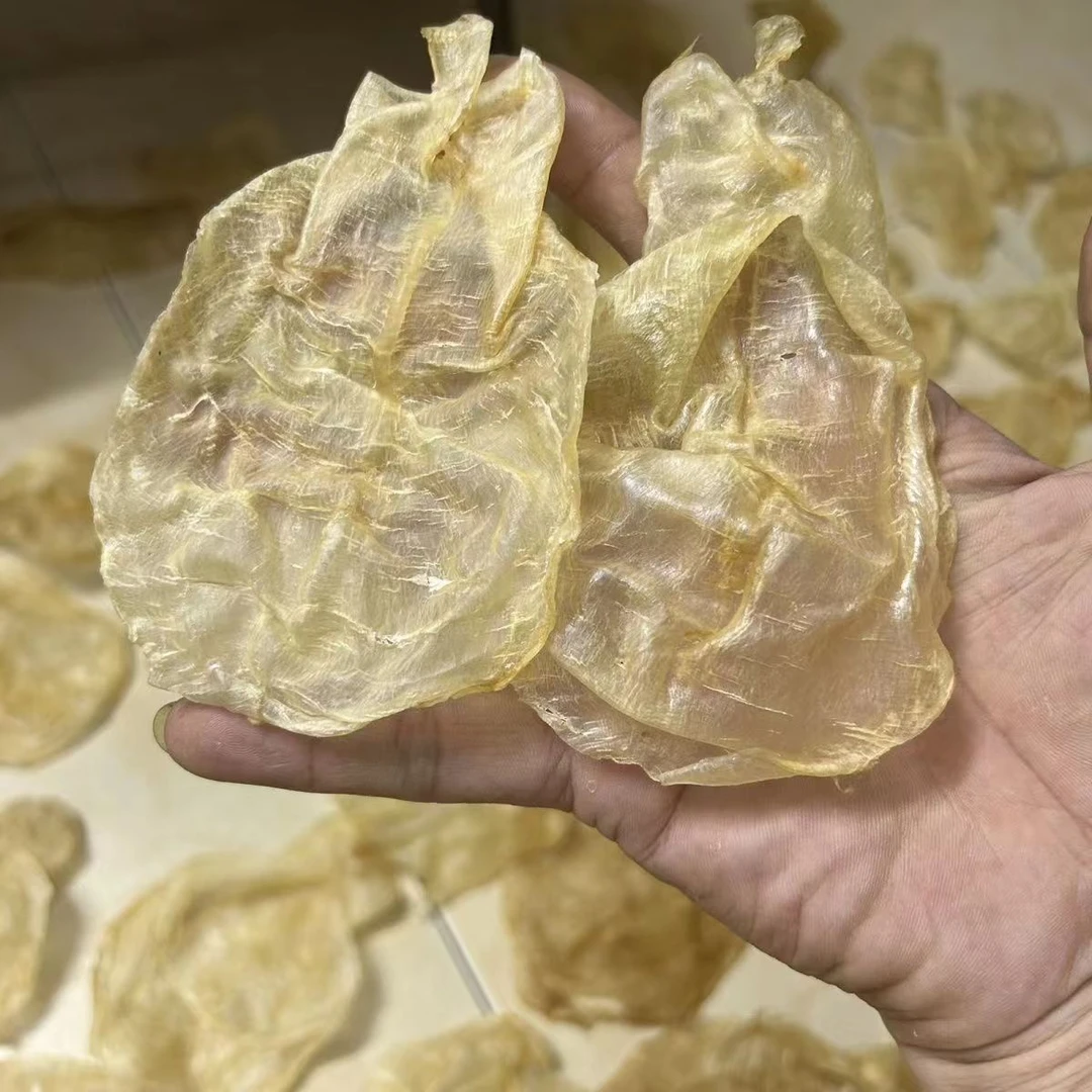 【阿峰推荐】蜘蛛胶片鱼胶100g