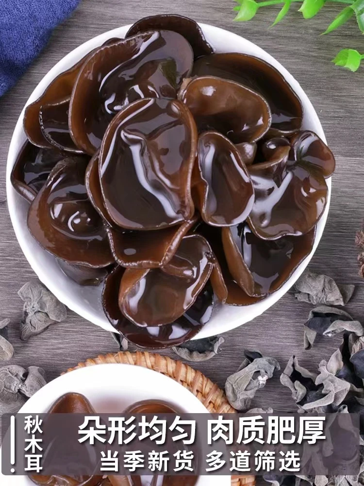 正宗精选东北秋木耳黑木耳肉厚无根干净无沙500g净重小碗耳