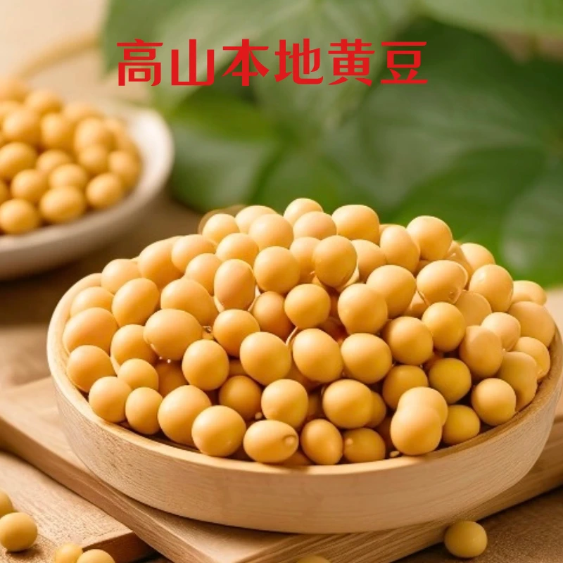 高山老品种小黄豆可做豆浆生豆芽