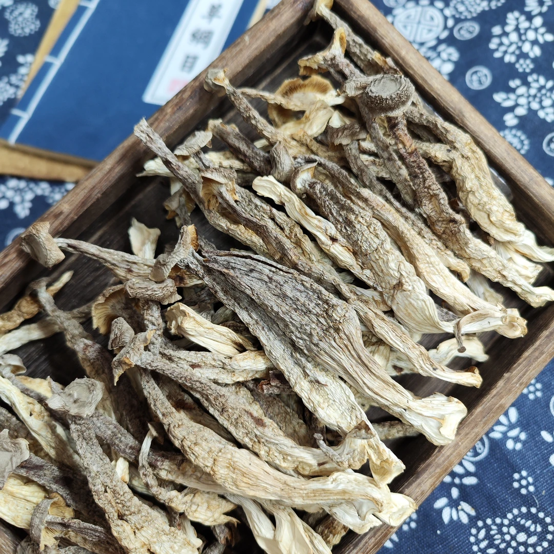 鹿茸菇 精品干货 香脆爽口 送礼佳品 500克包邮