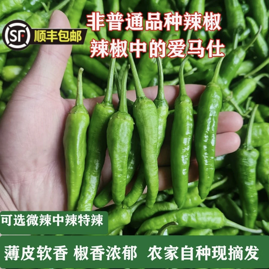 【顺丰包邮】樟树薄皮辣椒新鲜富晒辣椒现摘当季农家自种特辣青辣椒