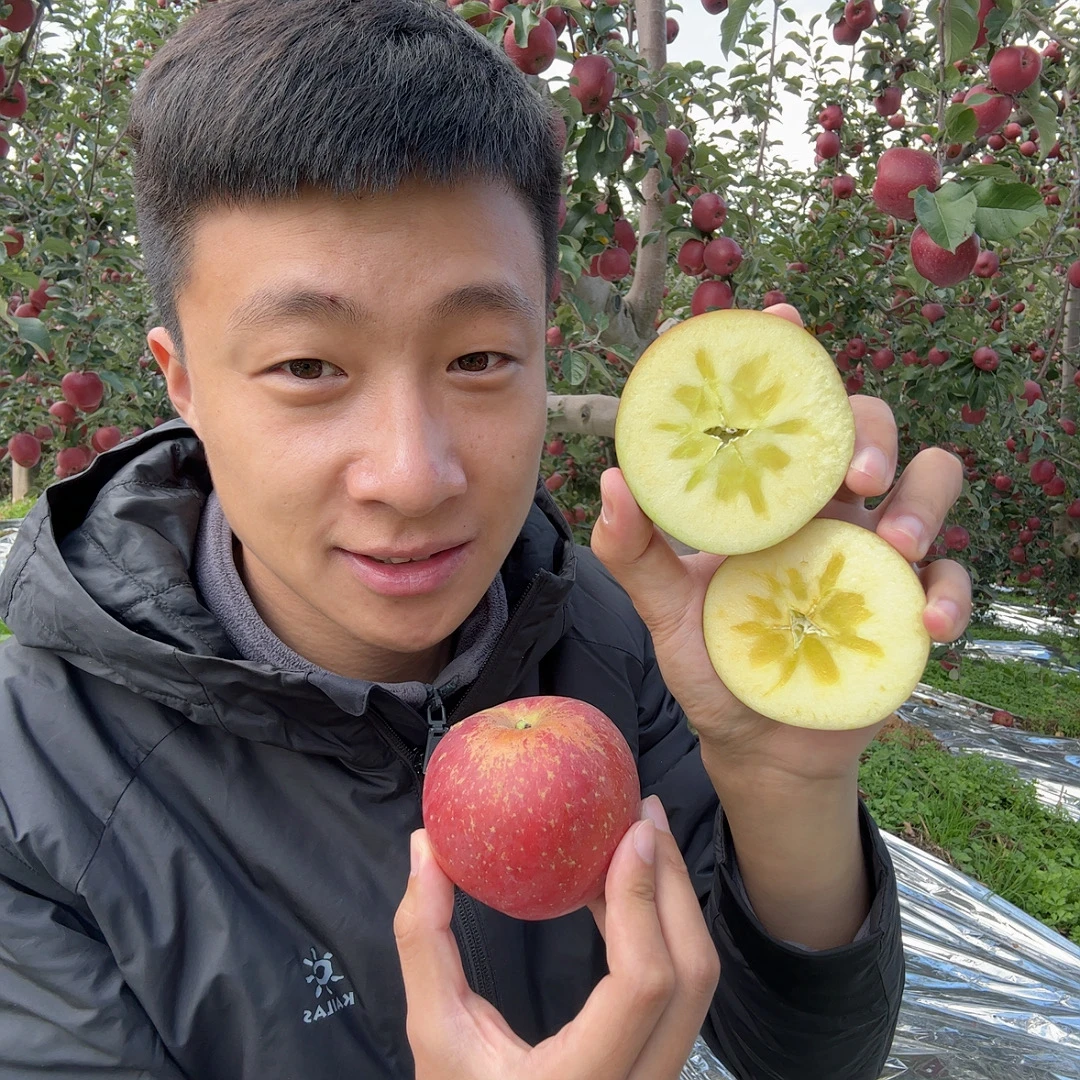 云南昭通丑苹果4.7-5斤净