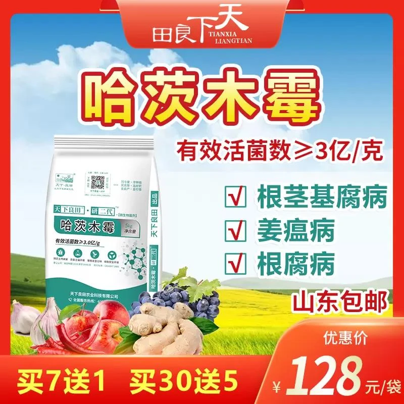 哈茨木霉 5kg/袋 有效活菌数≥3亿/克 预防姜瘟 烂脖子