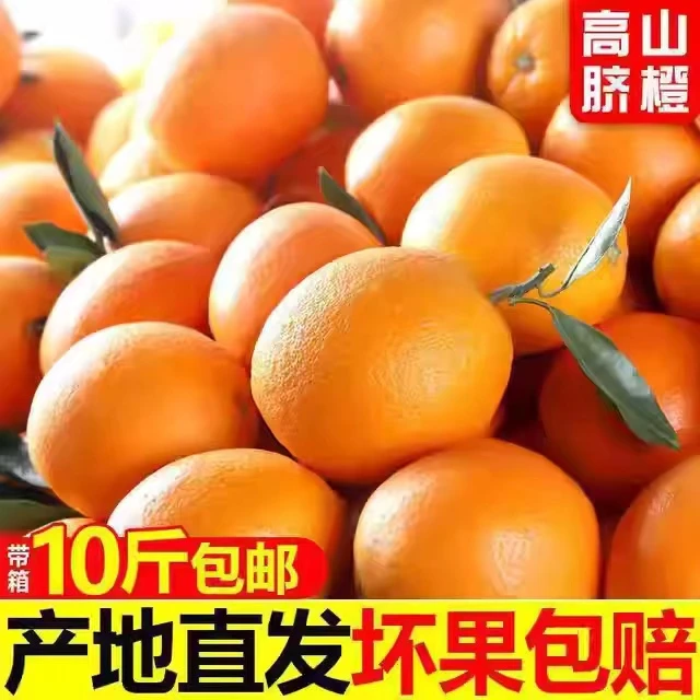正宗江西赣南脐橙 果园直发 皮薄肉厚汁水多 10斤包邮