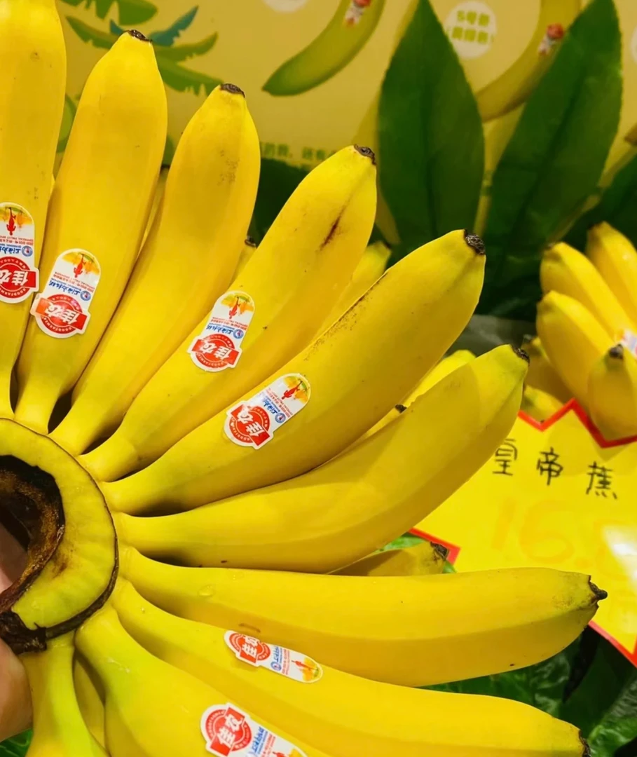 宝宝皇帝蕉一把