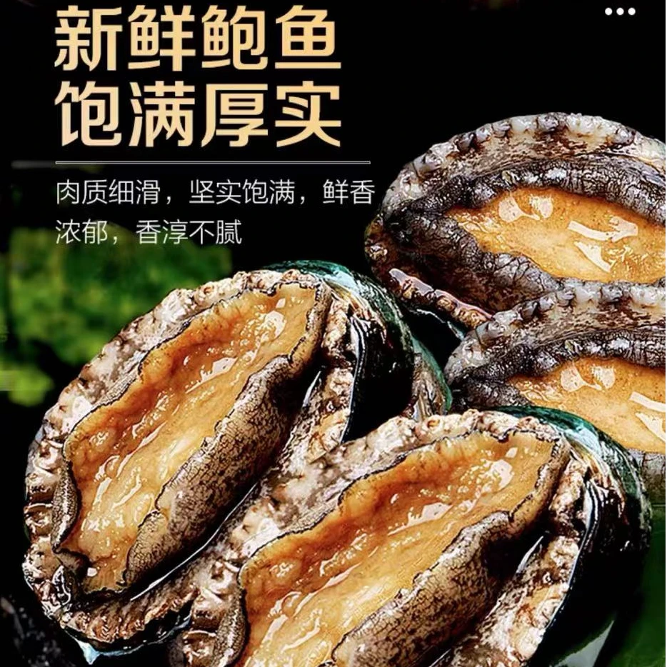 【顺丰发货】9-10头鲍鱼 长度4-5cm/只 东山岛深海活鲍液氮冷冻发L