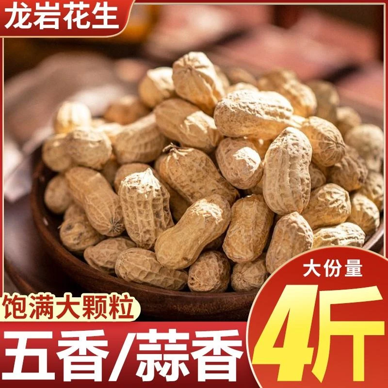 生500g五香味蒜味花生水煮花生米带壳炒货花生年货下酒菜零食小吃