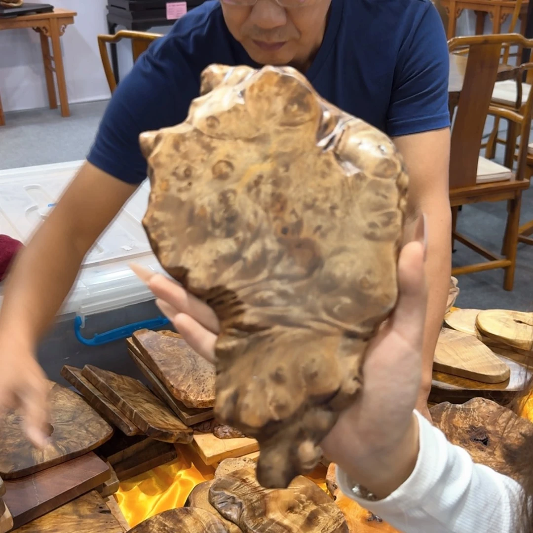 【闪购商品】黄金樟