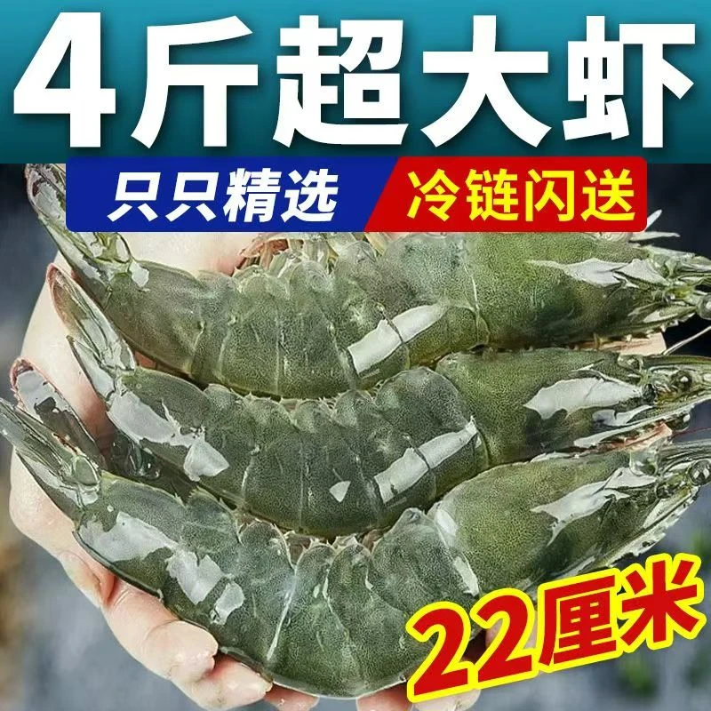 青岛大虾龙虾速冻新鲜南美白对虾青虾特大海水虾特级冷冻大虾龙虾