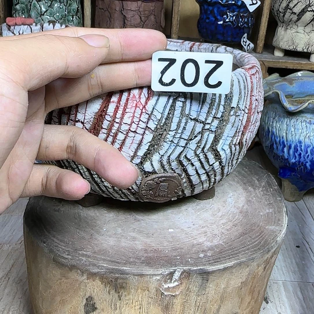 哈哈哈哈哈我真的