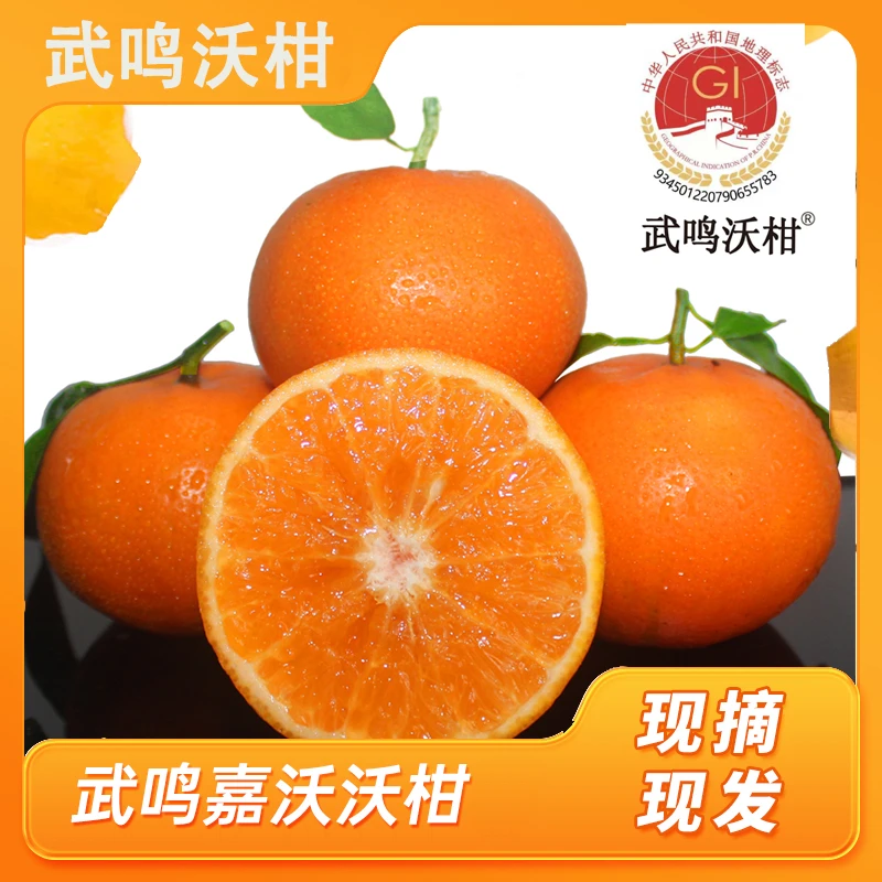 广西武鸣沃柑新鲜老树花皮水果现摘橘柑橘桔子橘子