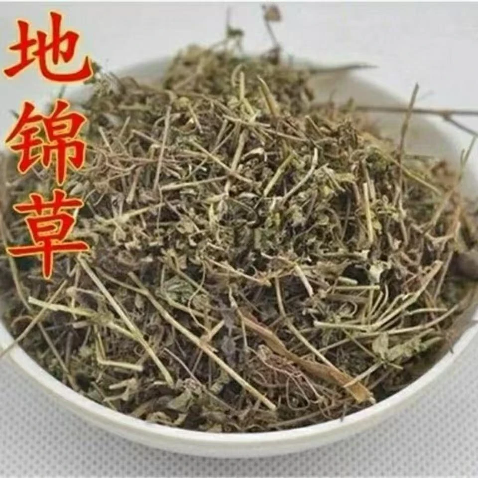 地锦草100g250g500g血见愁新鲜干货卧蛋草铺地锦新货包邮搭生姜