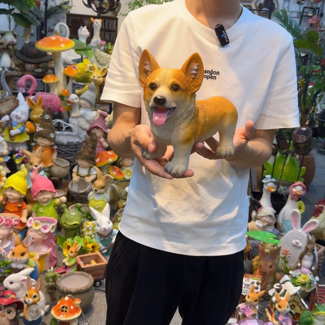 红陶20CM（含）-50CM（不含）