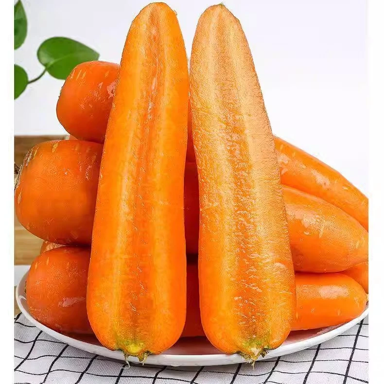 恩施高山含硒新鲜胡萝卜 现摘现发 5斤