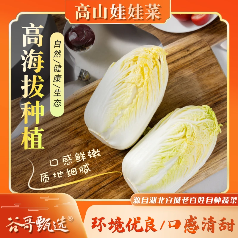 宜城老乡娃娃菜4斤左右 3包9颗